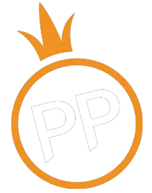 pp电子模拟器 logo